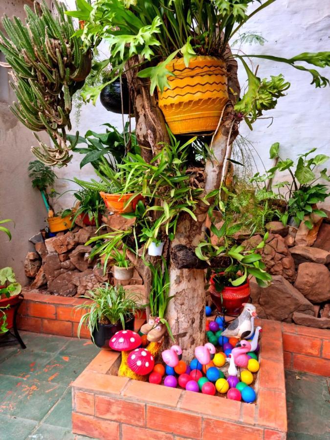 Hostal Jardin De Luque San Lorenzo Luaran gambar